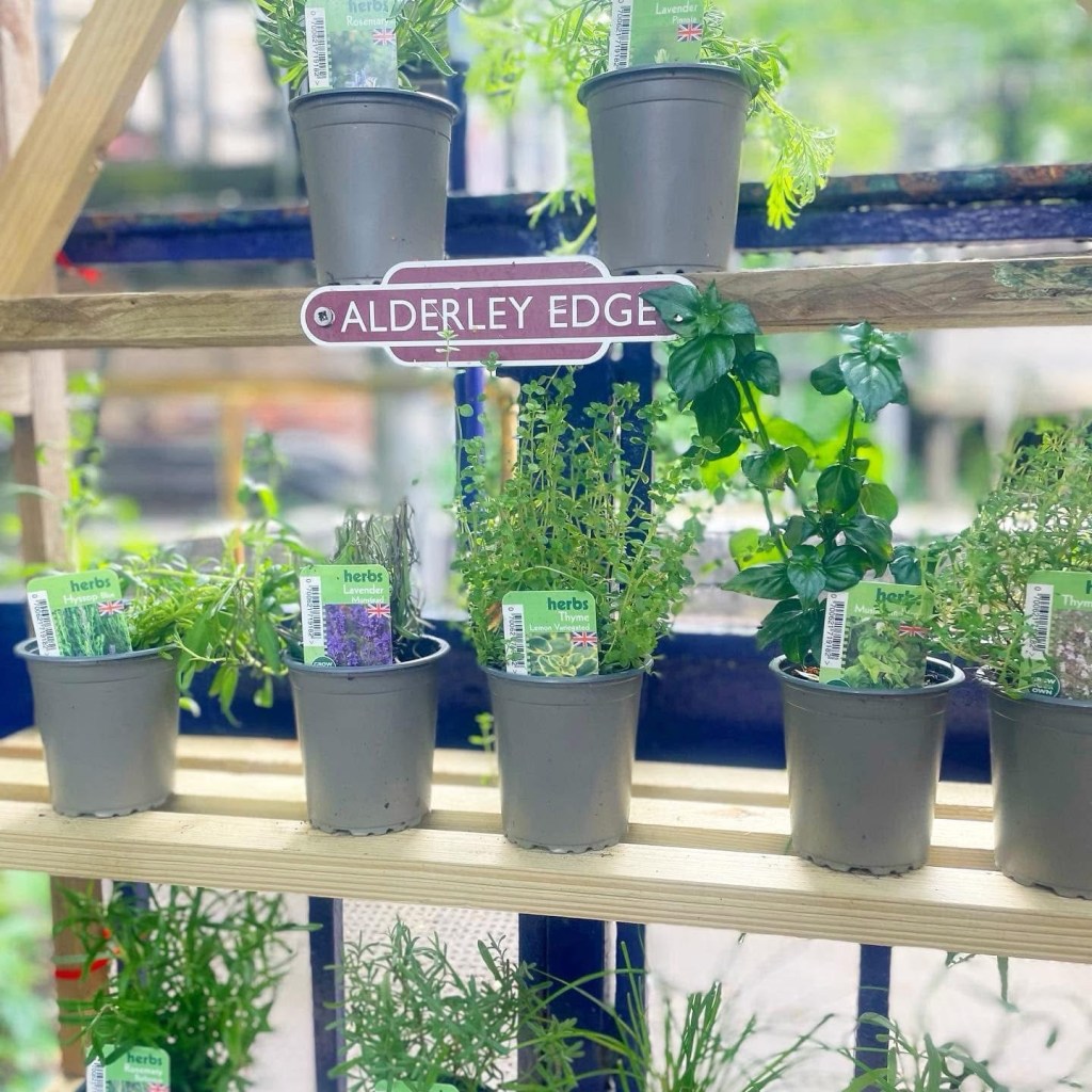 Dining at San Carlo Alderley Edge – Perfect for Date Nights or&nbsp;Days